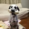 たー坊