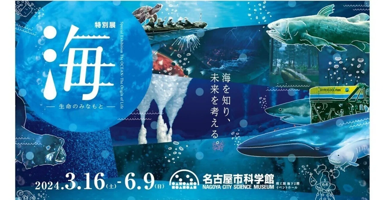 頸城地方の海と海底・海浜遺跡 (1972年) (上越市立総合博物館教養選書