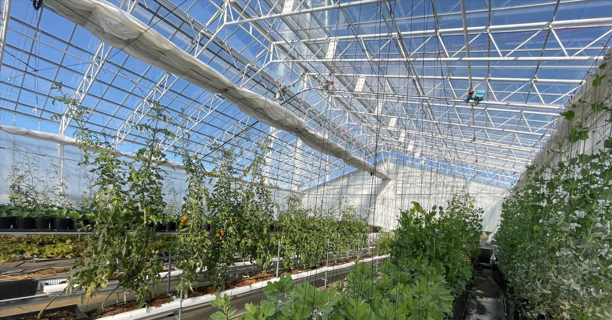 農業用ハウス 天窓減速機 モーター ハウスの天窓開閉装置 - 農Life 農Style