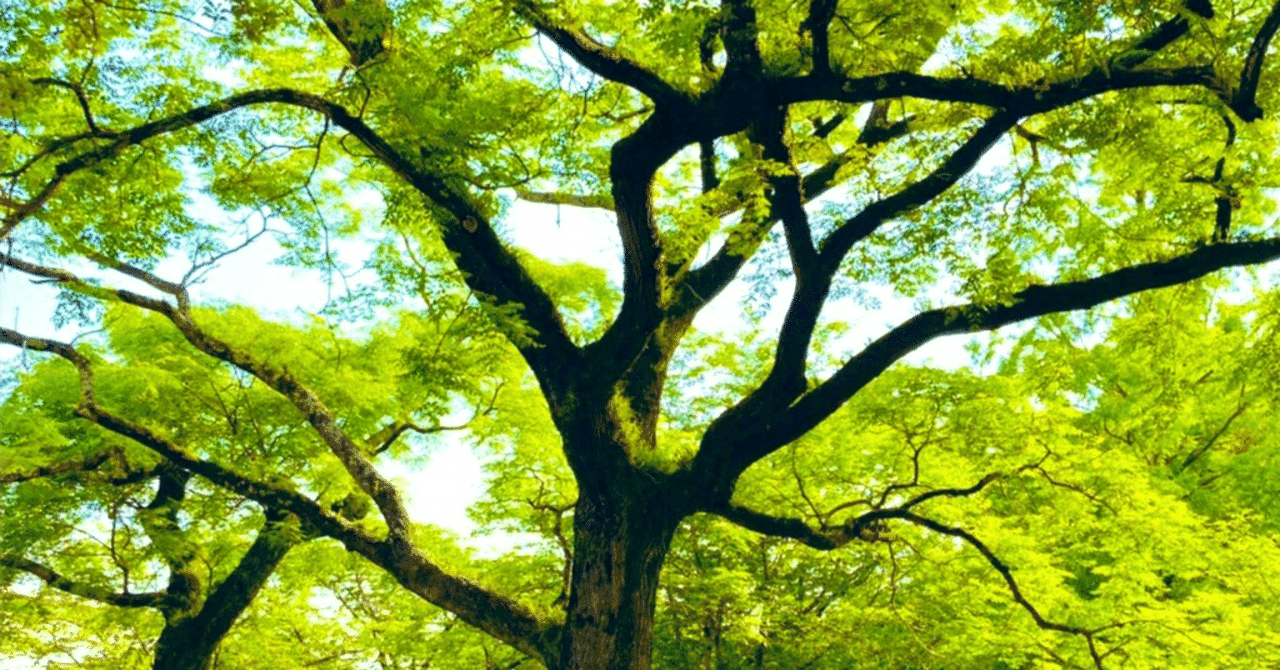 不法行為」とはなに？不法行為責任からハラスメント判断までを解説｜塙 創平｜弁護士