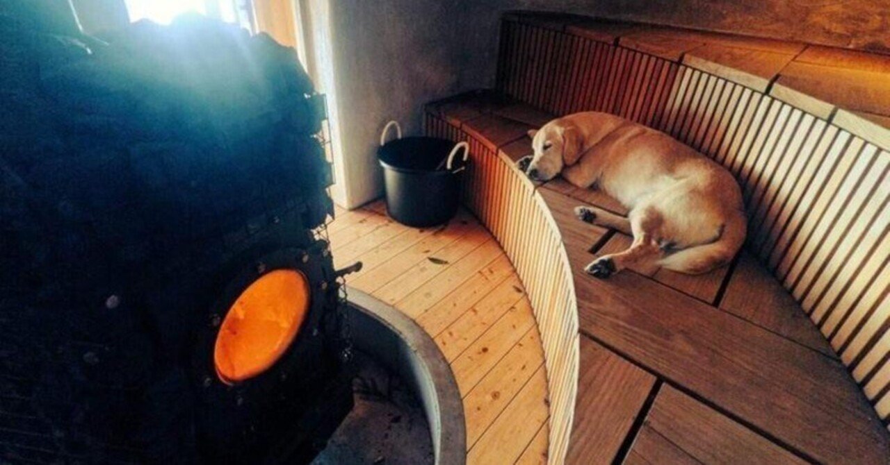 厳選】関東でペットと一緒に泊まれるプライベートサウナ付き宿・グラン