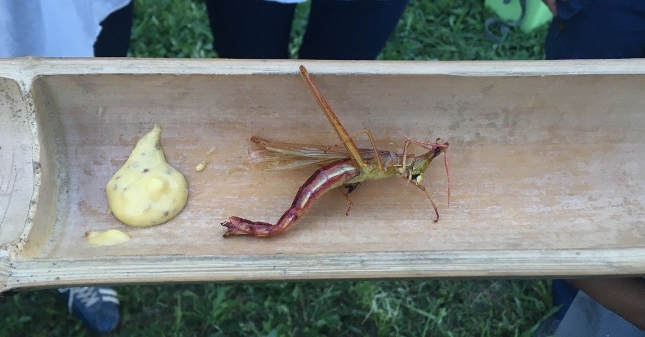 虫を食べる エビとバッタのあいだ えと菜園コトモファーム Note 虫を食べる エビとバッタのあいだ えと菜園コトモファーム Note