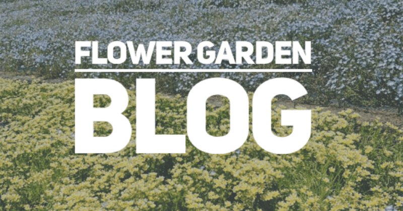 【blog】お花畑へ汗だくで行ってきた。