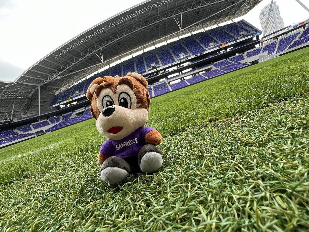 サンフレッチェ広島　支給　ショートパンツ　ポケットジップ付き　グレー✖️パープル サンフレッチェ広島 21レジカゴ｜【公式】Jリーグオンラインストア J