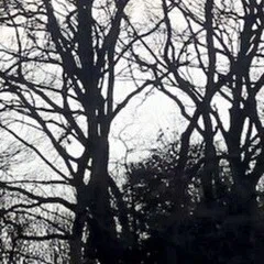 Reboot 4.26｜村松 健