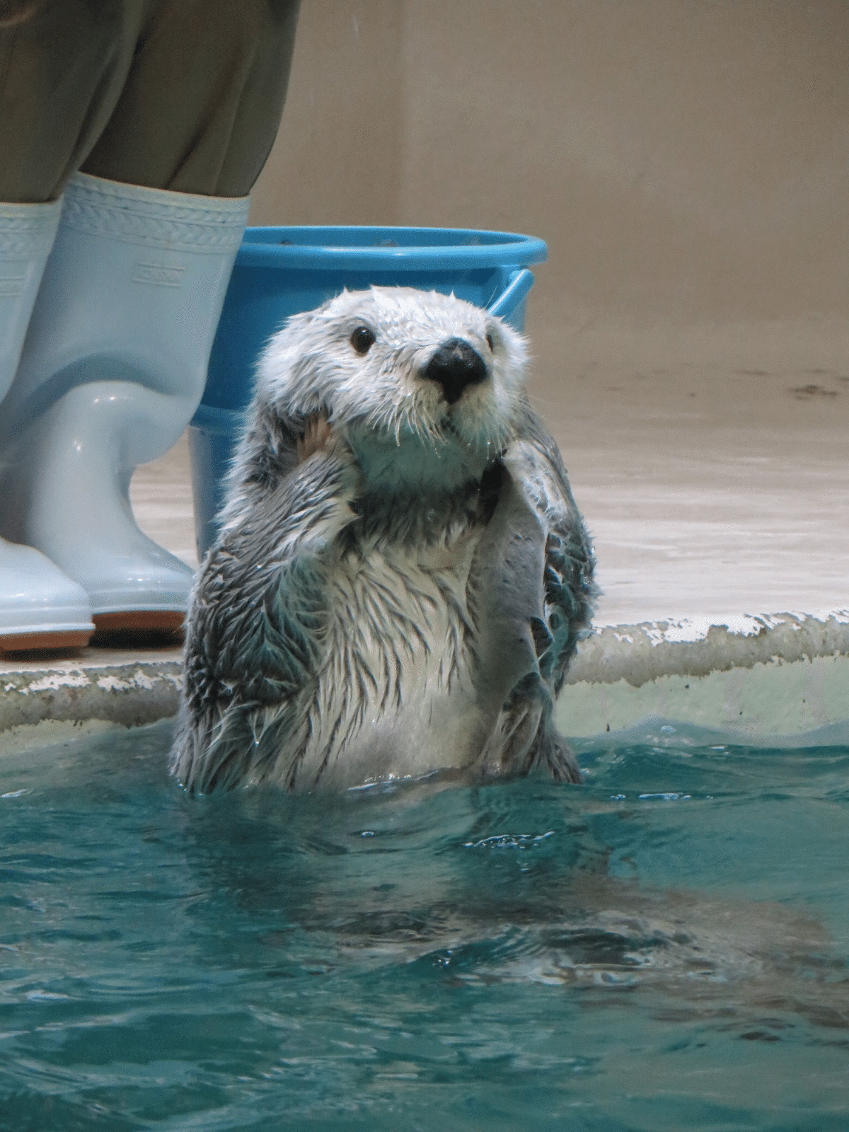 メイちゃん20歳おめでとう！｜Olivine 