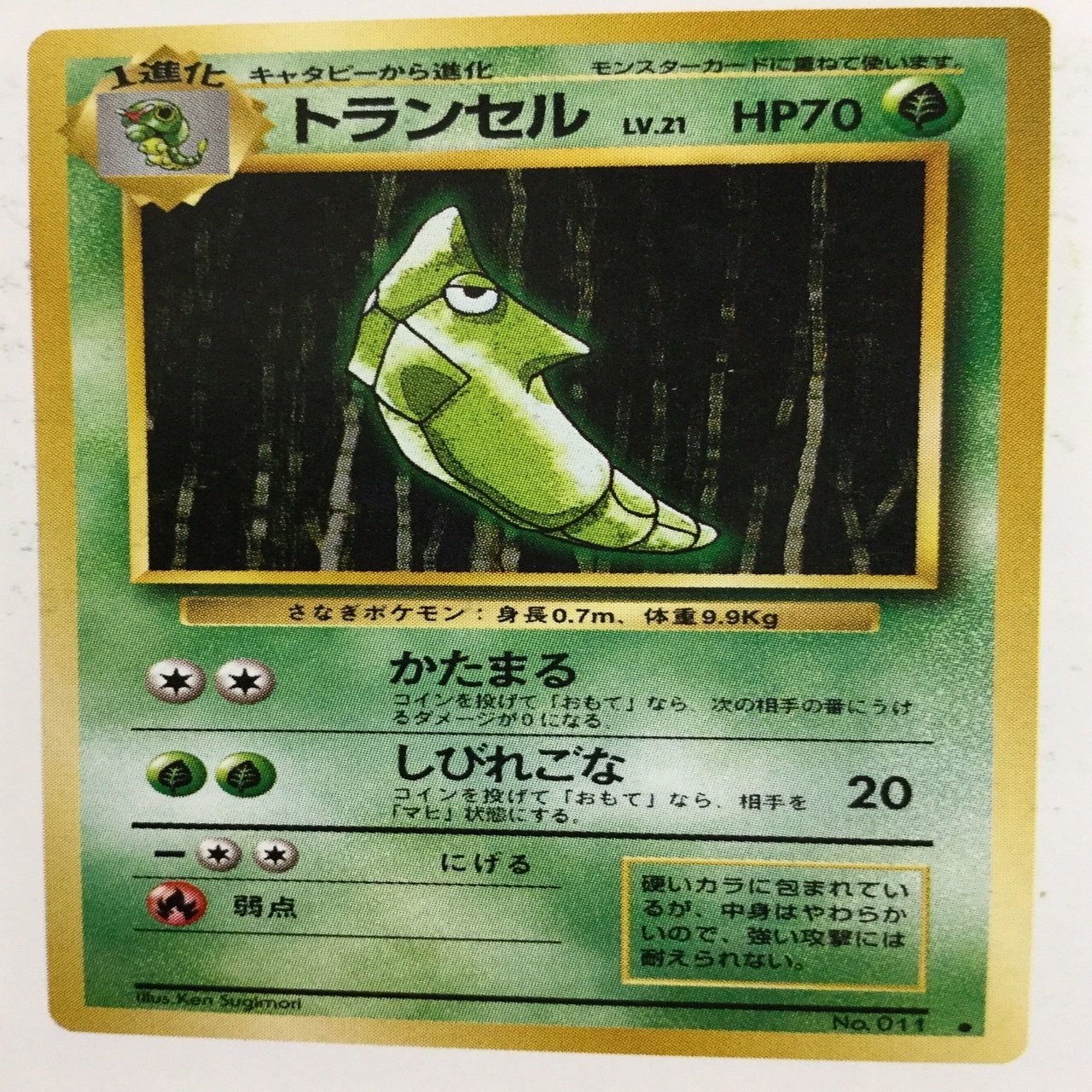 ポケモンカードのれきしを辿る 第1章｜ののほほ