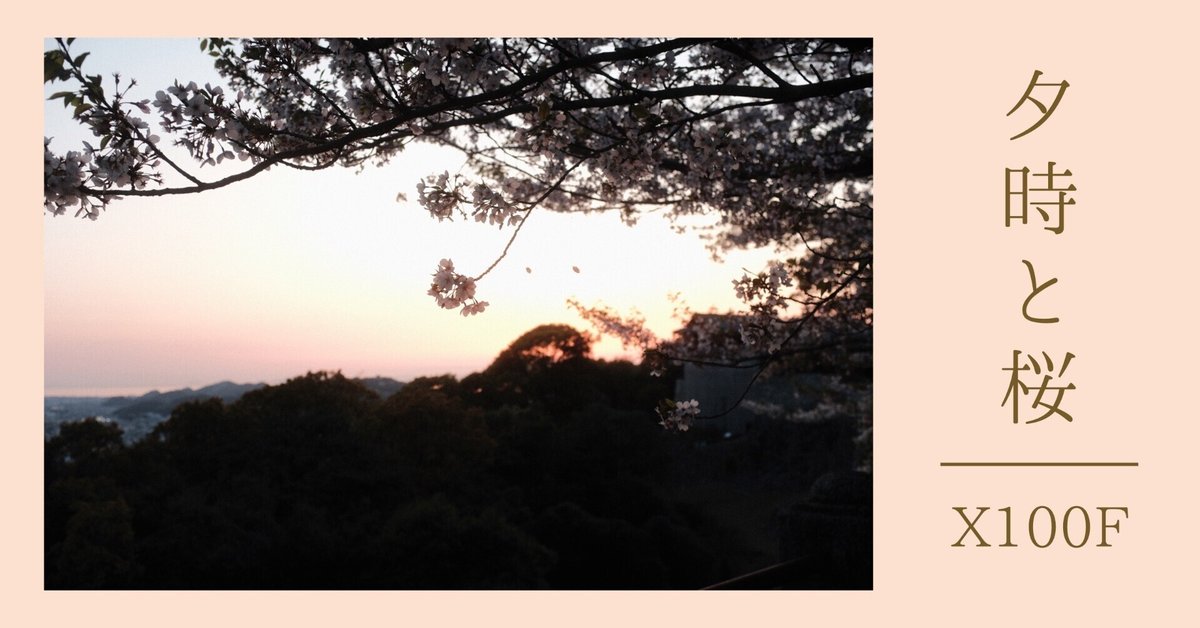 夕焼けと終わりかけの桜をX100Fで撮る⑵｜JUMP PHOTO｜MEDIA