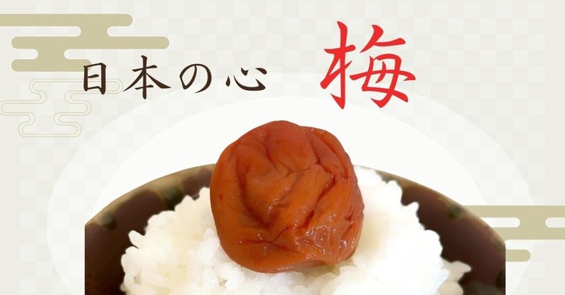 【５月９日】北海道で京仕込みの梅を食べる私。