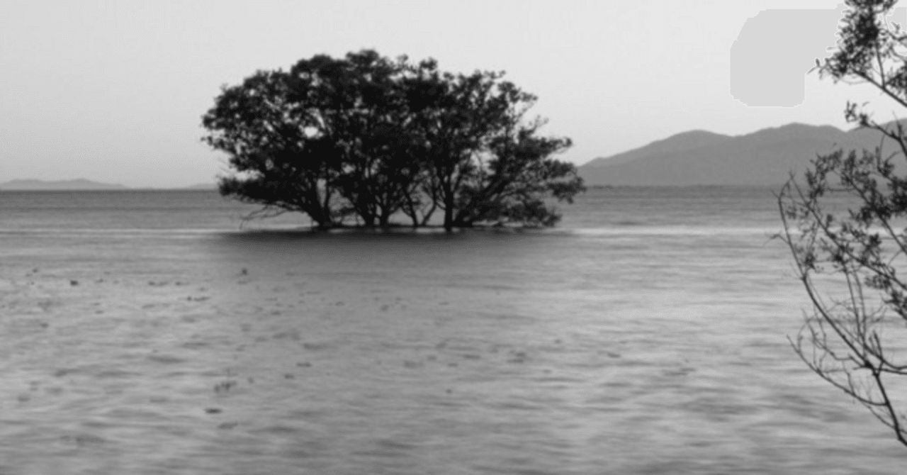 研究によると、リオグランデ・ド・スル州の洪水は気候変動によって悪化した