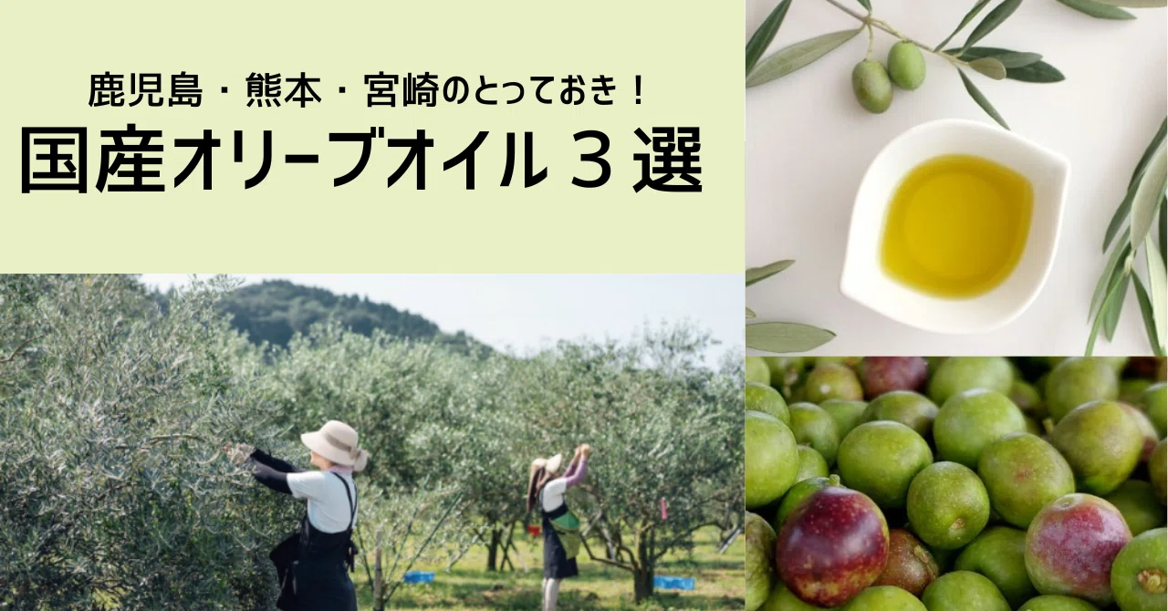 南九州、鹿児島・熊本・宮崎のとっておき！国産オリーブオイル3選