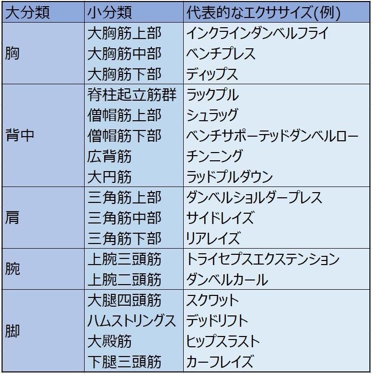 Napo Fitness トレーニング総論 日数別 トレーニング分割法のすべて Napo Fitness Note