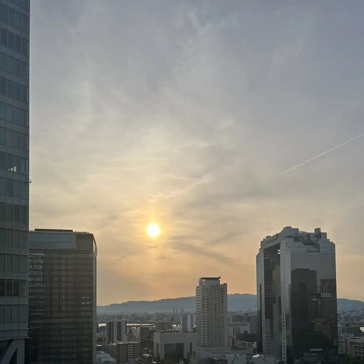 てり
