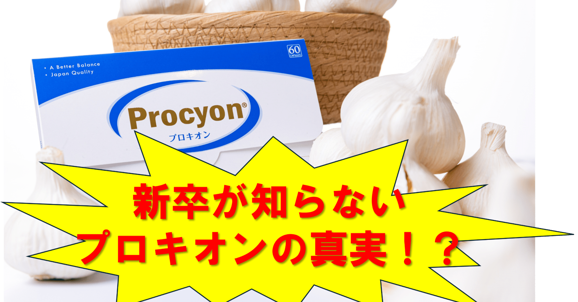 新卒が知らないプロキオンの真実！？！？ ｜株式会社京福堂/公式note