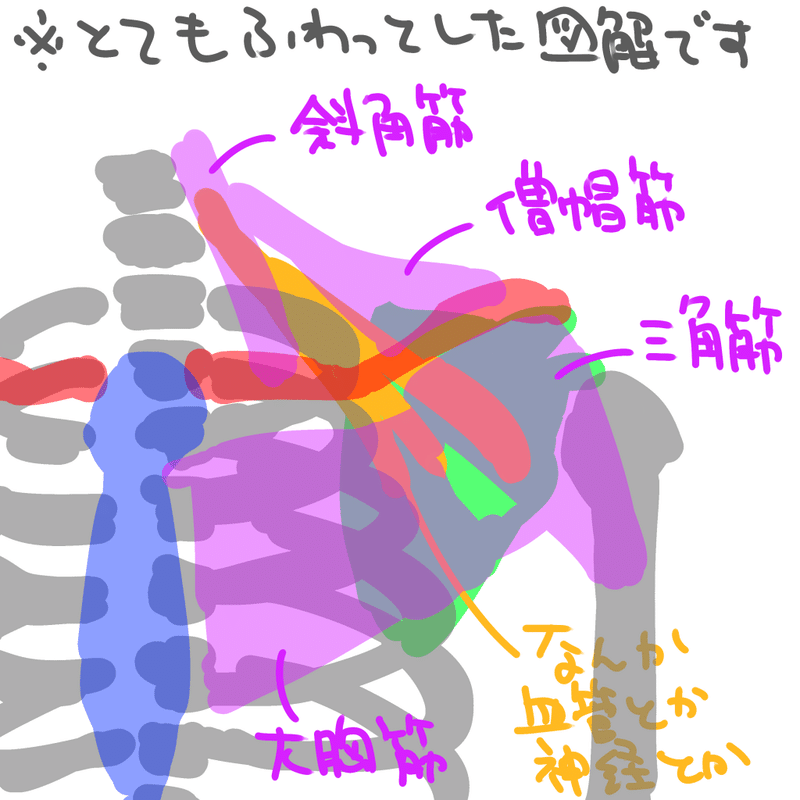 鎖骨骨折治療記 2 R 9 Note 鎖骨骨折治療記 2 R 9 Note