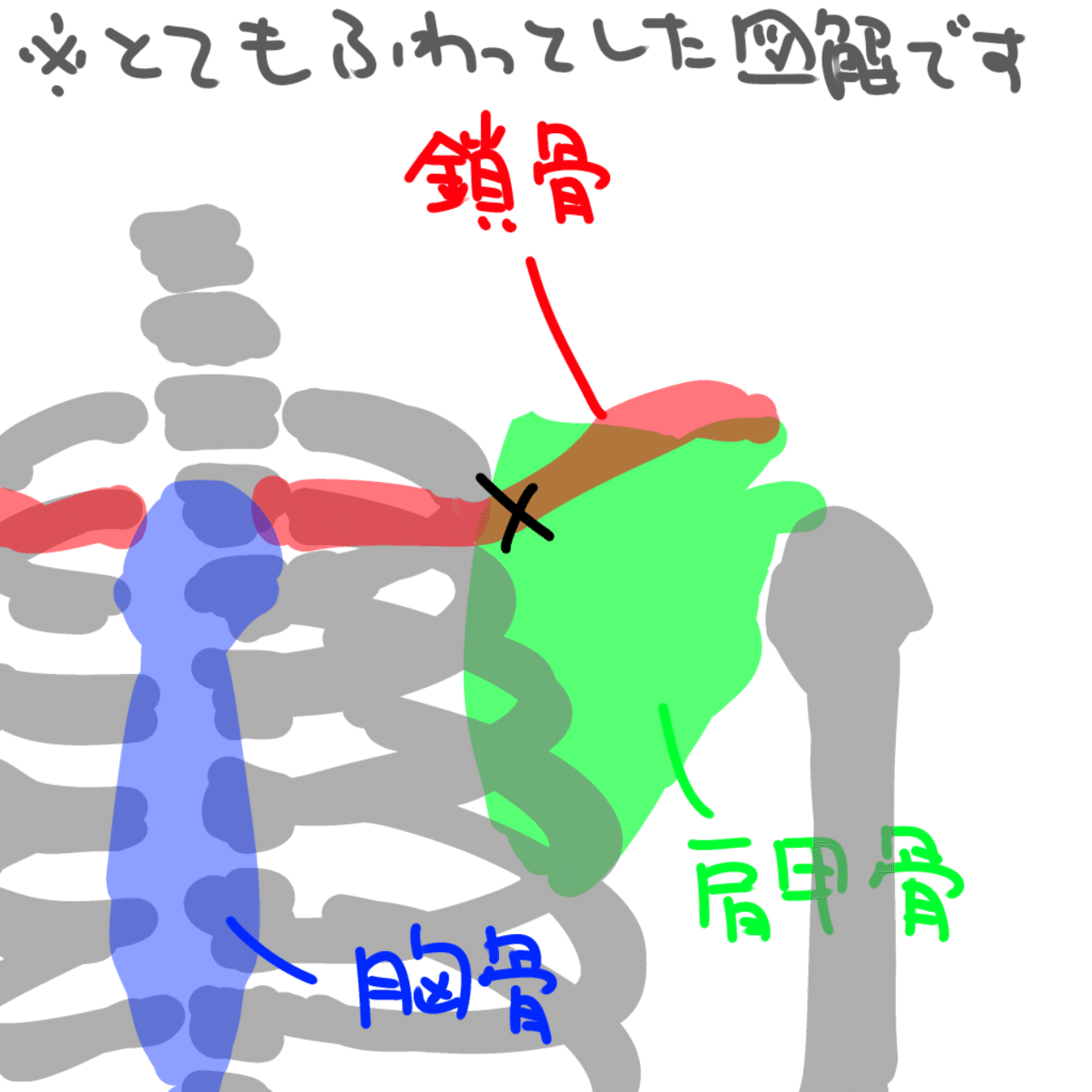鎖骨骨折治療記 2 R 9 Note 鎖骨骨折治療記 2 R 9 Note