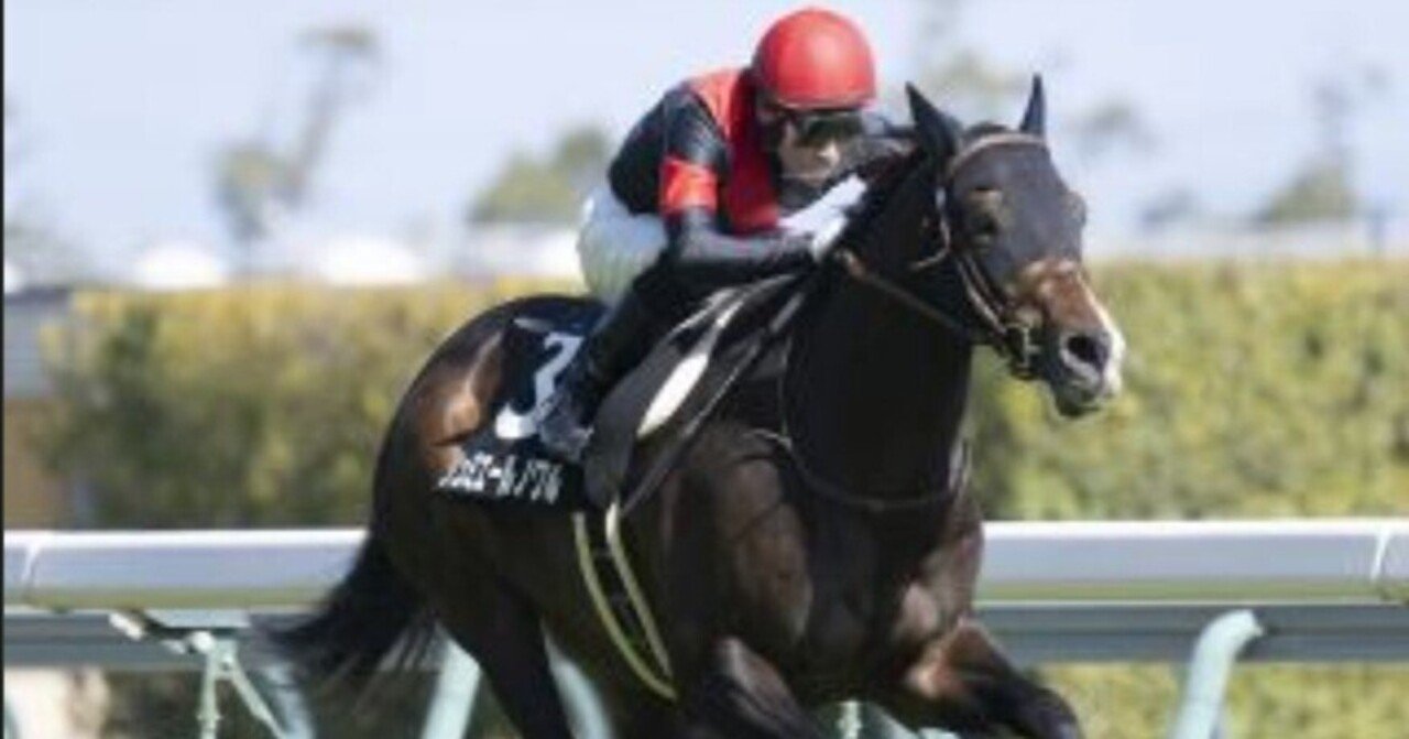 厩舎考察 上原佑紀厩舎 京王杯SC2024編|nalnal