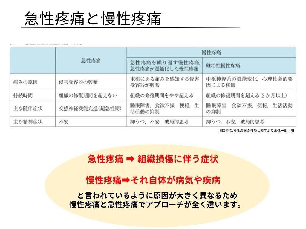 慢性痛の心理療法ABC Amazon.co.jp: 慢性痛の心理療法ABC : 山本 達郎: 本