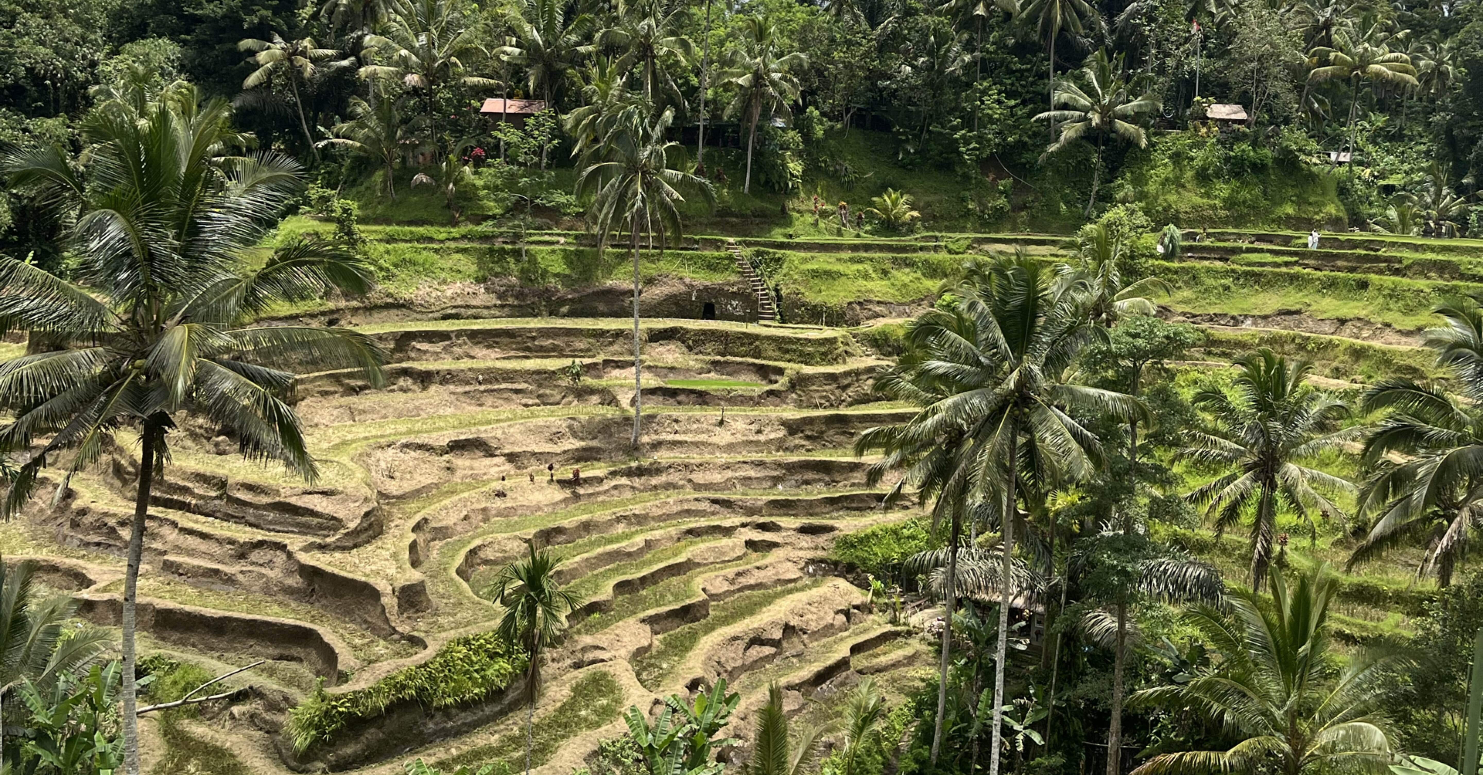 ウブド・バリ島で神秘的＆心躍るわくわく体験をしよう！｜たびじんミナ