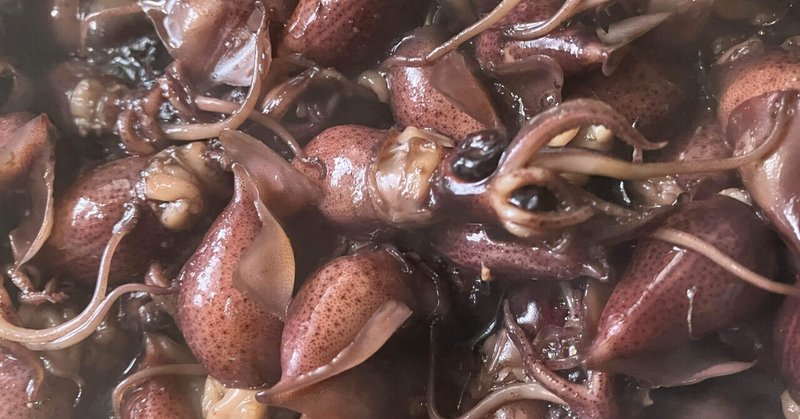 蛍烏賊のワイン煮  Firefly squid simmered in wine