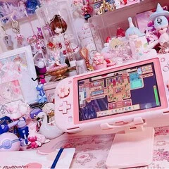 万年筆お迎え：セーラー万年筆 海外限定 ドライフラワー 第2弾