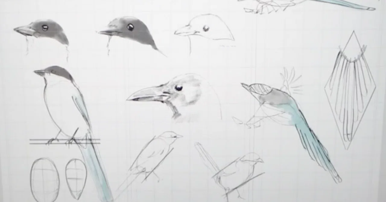 ♪描きくけ小鳥ページ No.301 かげ。 #イラスト#デザイン#アート#線画#鳥イラスト#鳥デザイン