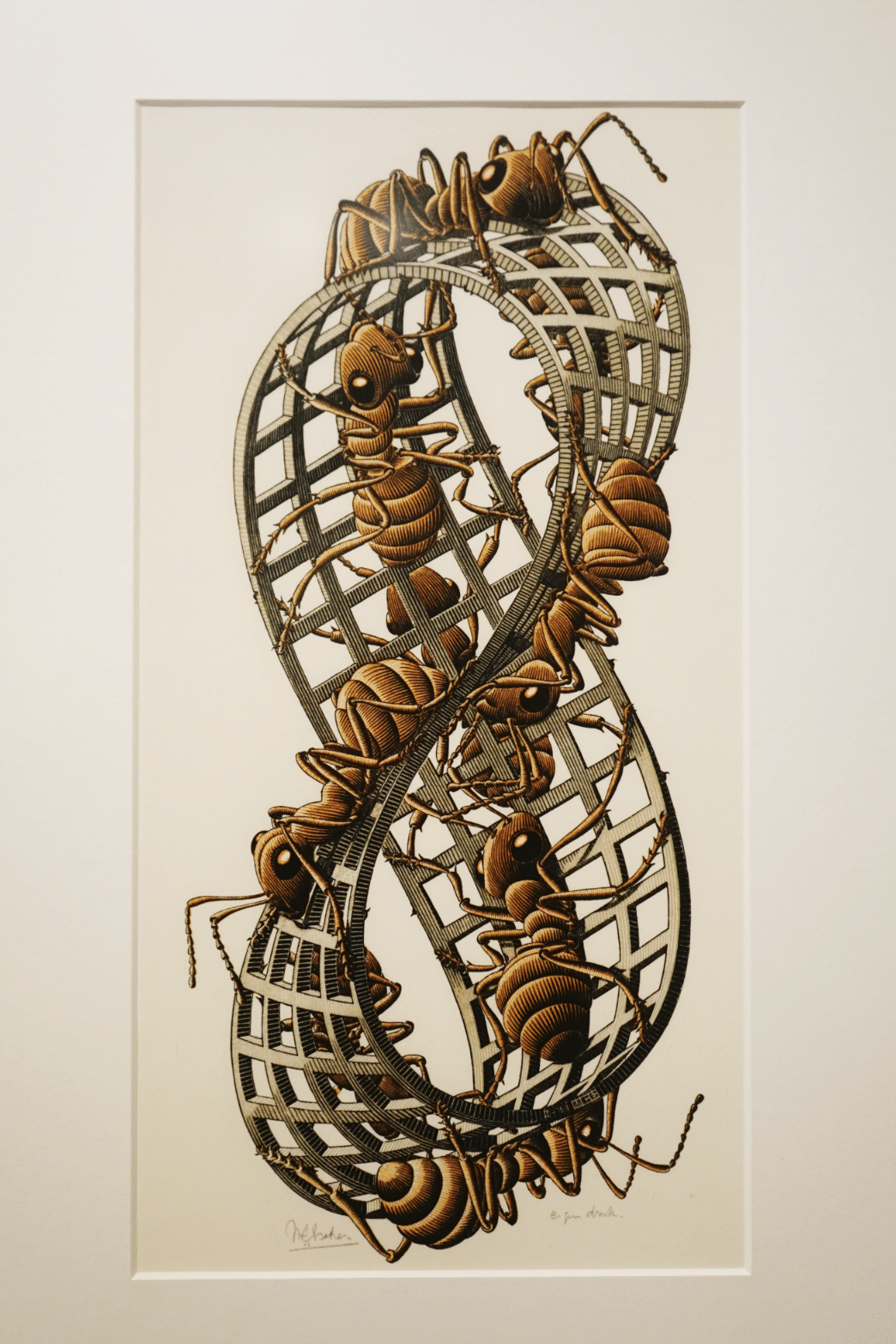 誰もが一度は見たトリックアート エッシャー美術館【オランダ】｜まっち