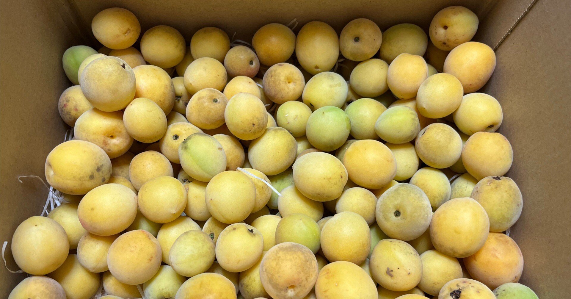 dcfb1390df550a04c66a01433d3e9d