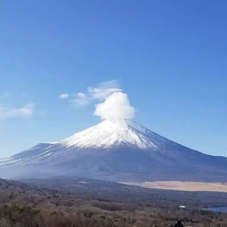 おだんごスプリング