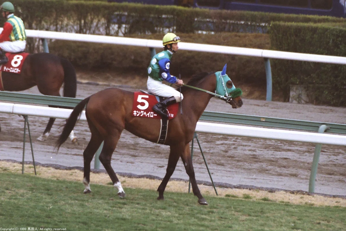 第73回中山記念:蔵出し写真 1999年 ⑤キングヘイロー|馬画人 第73回中山記念:蔵出し写真 1999年 ⑤キングヘイロー|馬画人