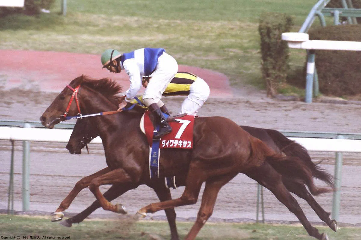 第73回中山記念:蔵出し写真 1999年 ⑤キングヘイロー|馬画人 第73回中山記念:蔵出し写真 1999年 ⑤キングヘイロー|馬画人