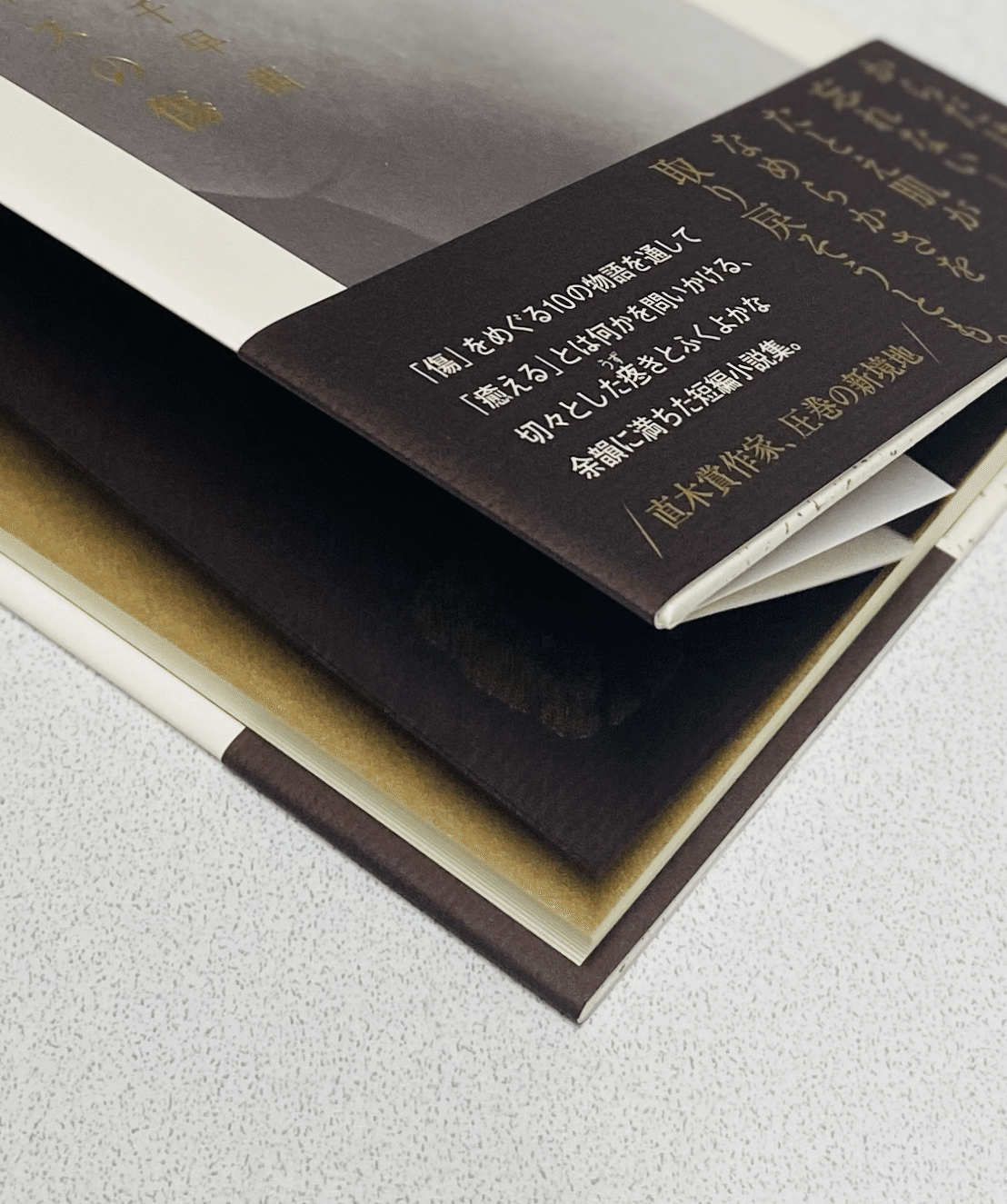 小匙の書室181 ─グリフィスの傷─｜三編 柚菜