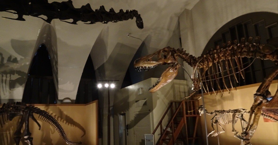 つながる旅行記#279】パラサウロロフスのデンタルバッテリー…？【東海