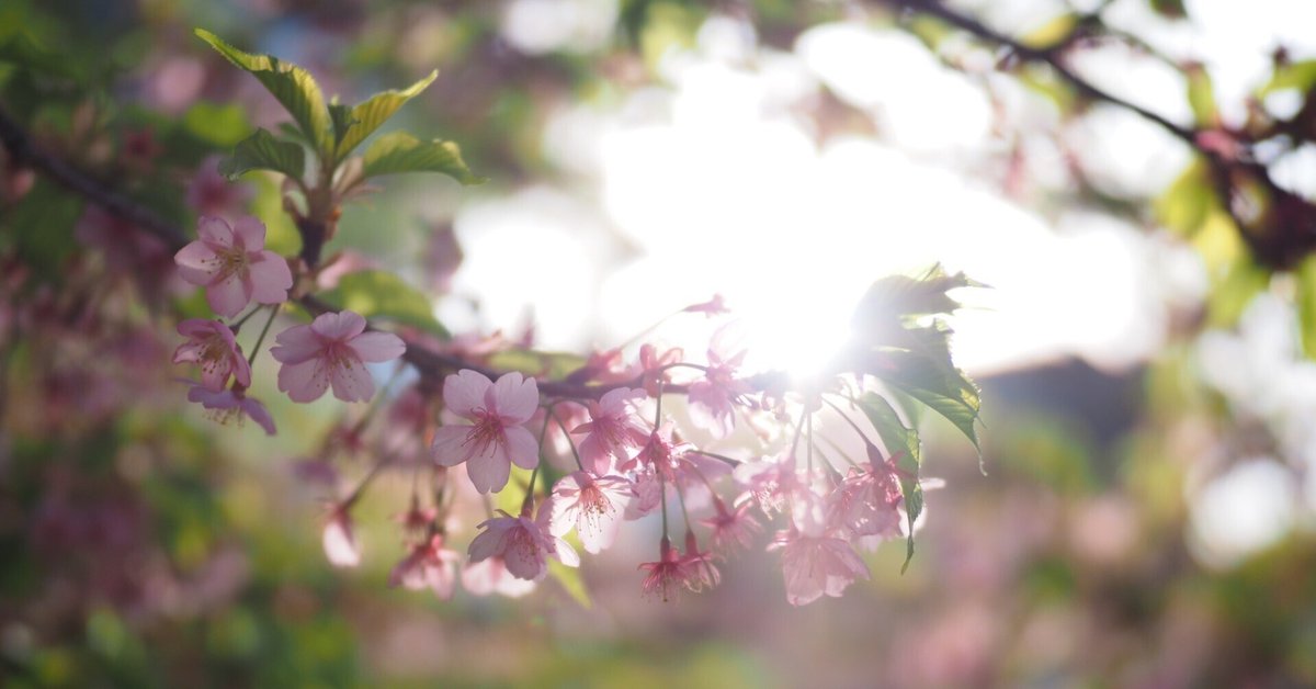 作例&レビュー】M.ZUIKO DIGITAL ED 25mm f1.2 PRO〜マイクロ 作例&レビュー】M.ZUIKO DIGITAL ED 25mm f1.2 PRO〜マイクロ