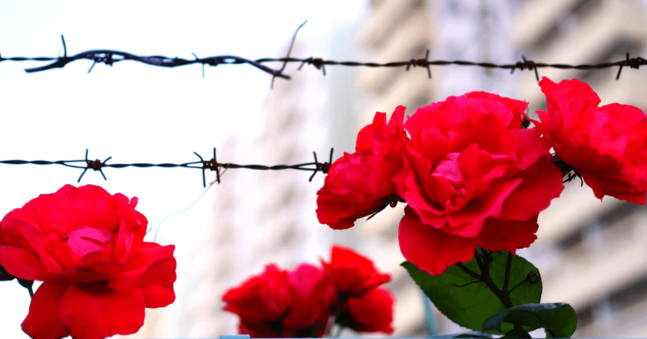 トゲと薔薇も満開|gc