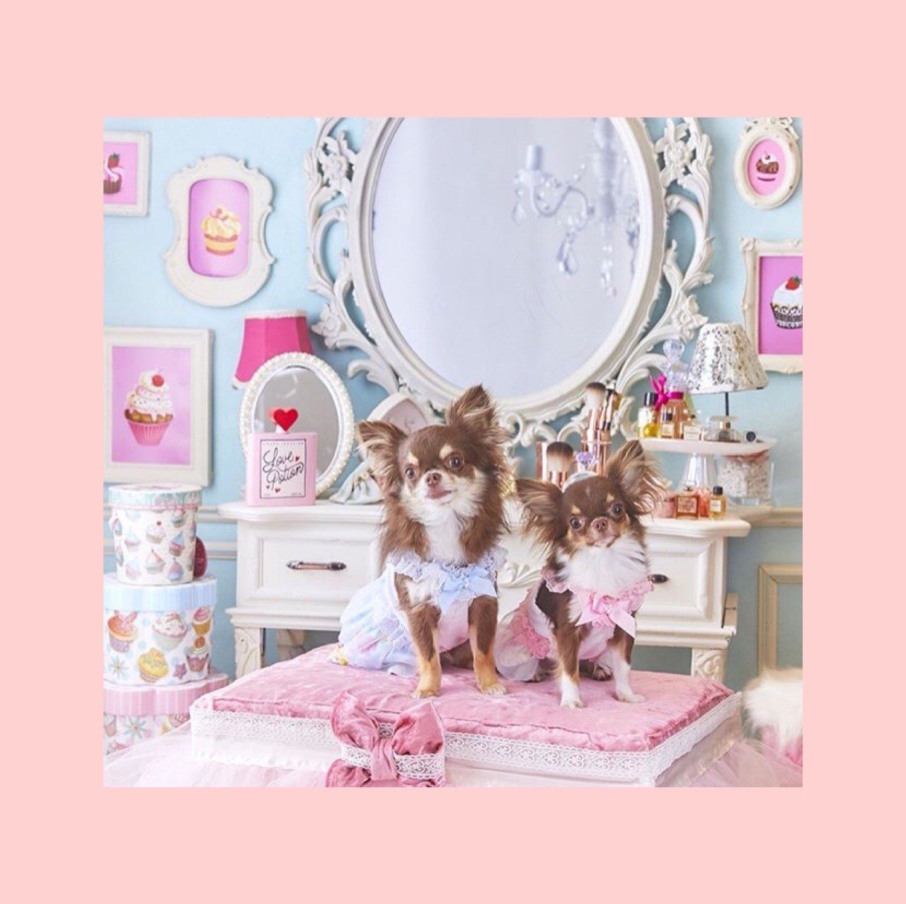 愛犬があなたに 大好き を伝えている15のサイン 田中愛子 ドッグトレーナー Note