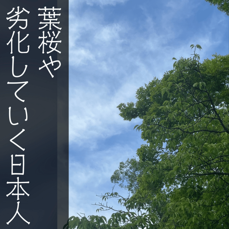 【俳句】葉桜や劣化していく日本人【有季定型俳句】　#俳句