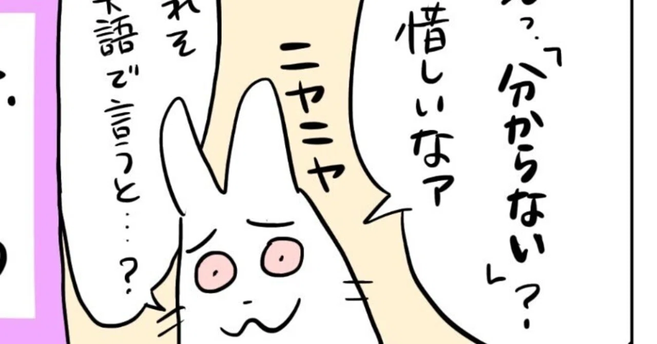 BUDDY JOKES JOKESバディジョークスオリジナルスウェットパーカー 