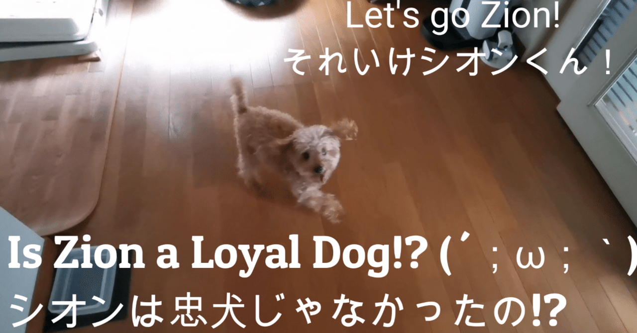 それいけシオンくん シオンは忠犬じゃなかったの W ｳｯ Naonardo Note