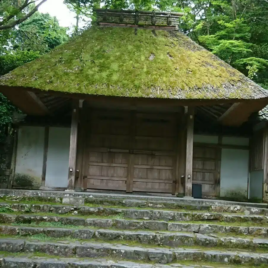 守屋　秋冬