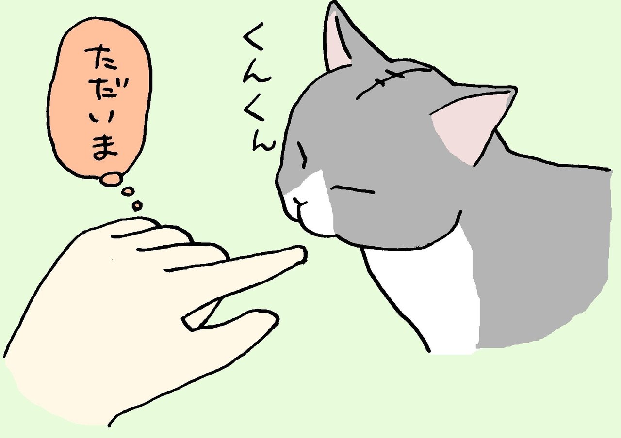 意外と頭を撫でようとすると避けられてしまう 猫同士の挨拶は鼻を近づけるが 人の頭は大きいのでビビられるので代わりに手を寄せてみる 男同士の友情 を大切にする人は拳を 宇宙人とそのお友達は人差し指がいい さちこ Note