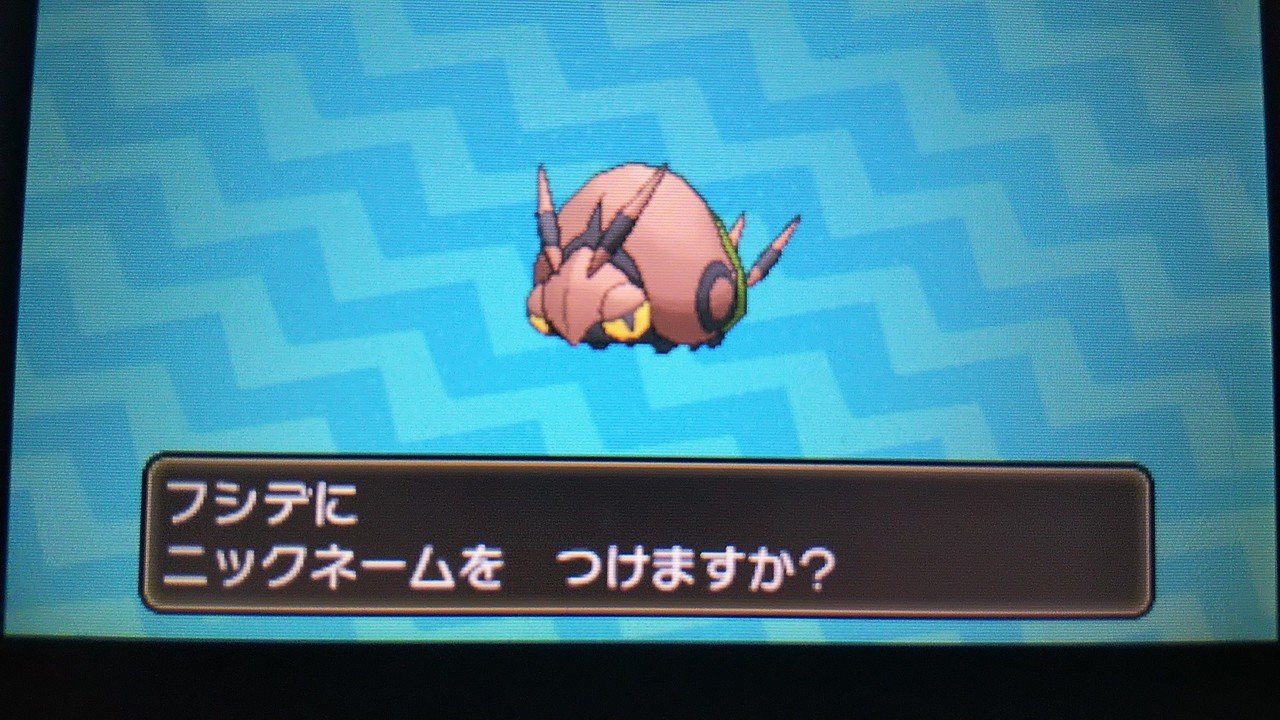 ポケモンsmで国際孵化をしてみた話 2 そらこ Note