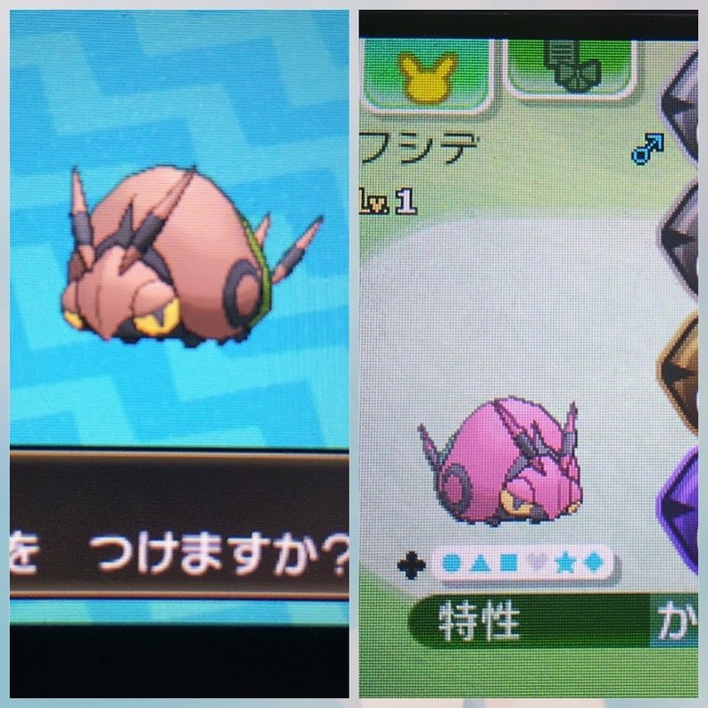 ポケモンsmで国際孵化をしてみた話 2 そらこ Note