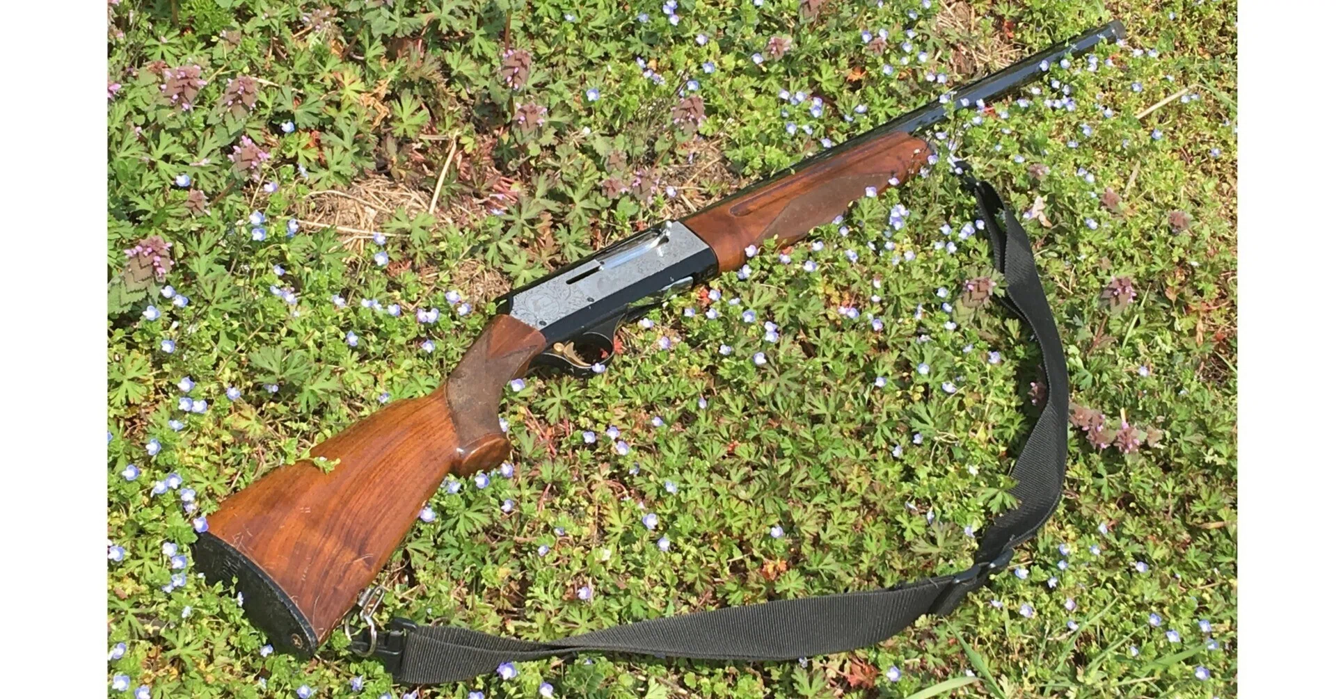 2024年5月21日（火）「有害鳥獣・猟銃所持許可！」｜おおたま