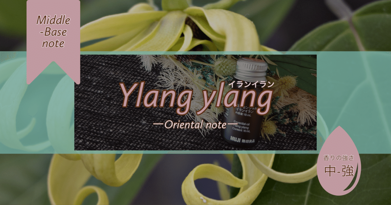 イランイラン】”妖艶甘美な”アロマ暮らし薬剤師の精油note｜あき