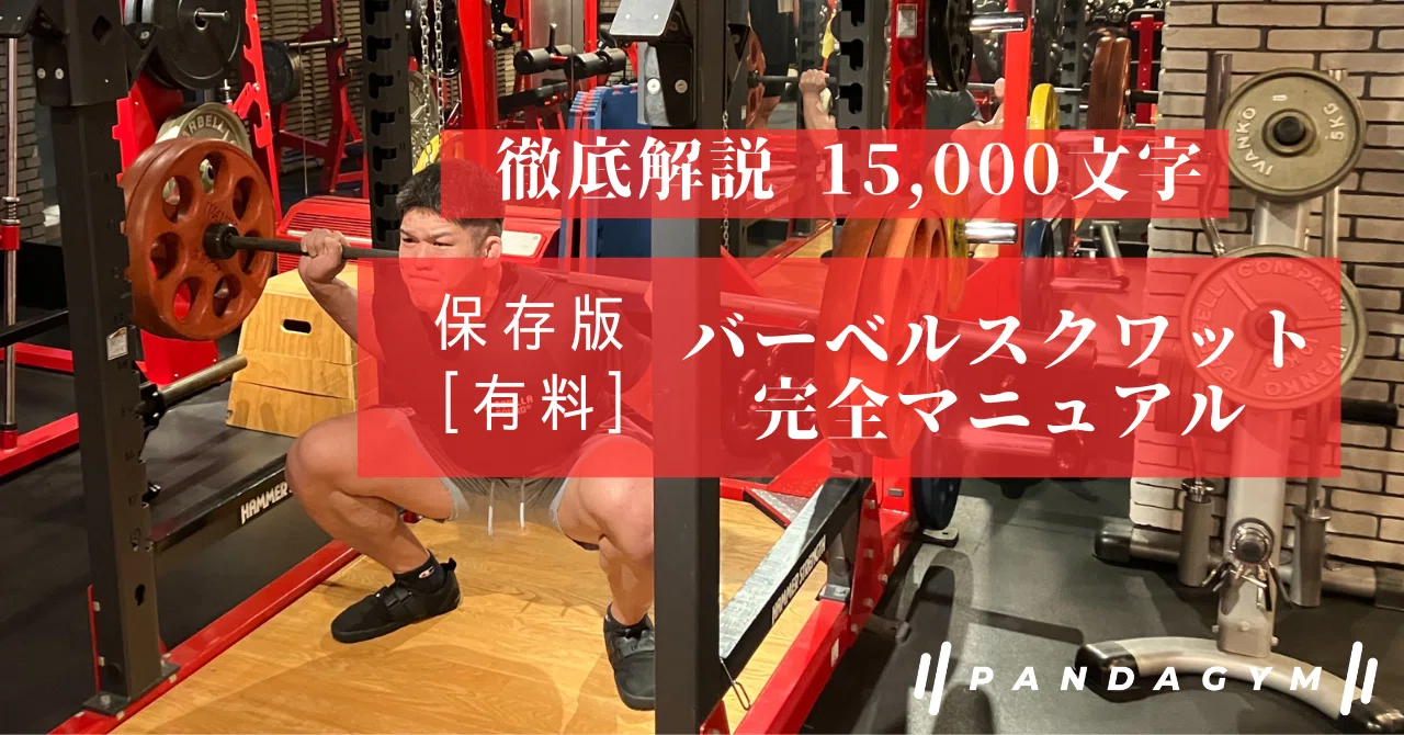 保存版】バーベルバックスクワット完全マニュアル【15,000文字】｜山田 