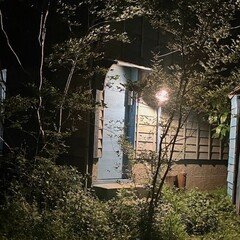 これが見たかった、その18、『明日菜の恋歌』（湯口聖子）ほか｜少女