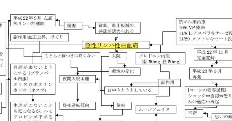 関連図「急性リンパ性白血病」|タイパ重視の看護実習