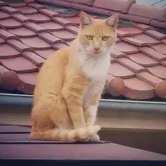 あとり