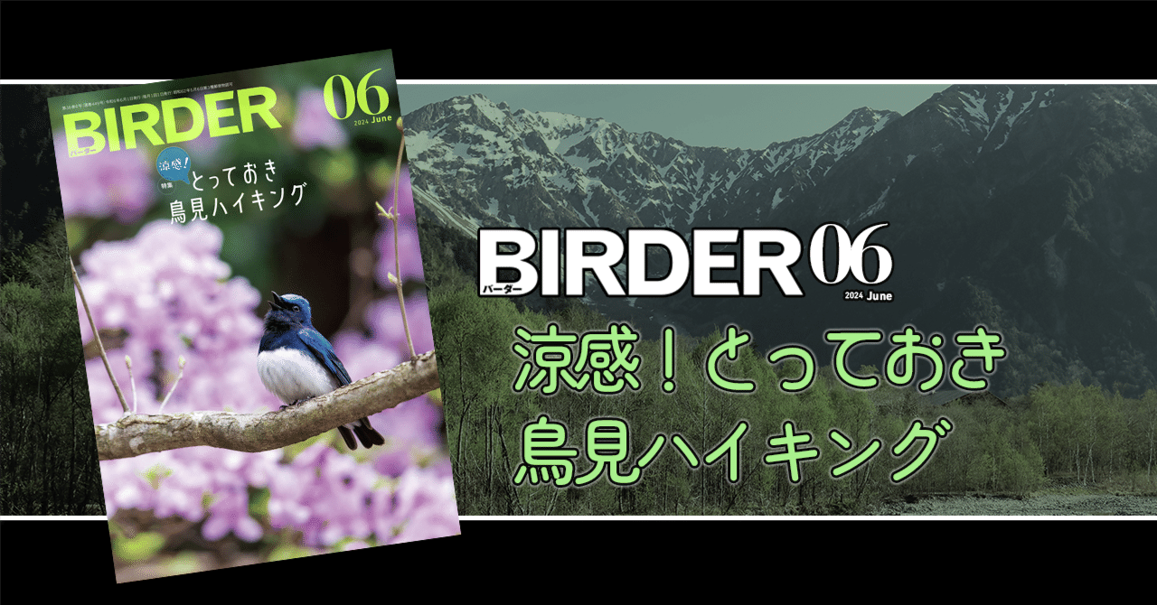 ブックカバーに関するメリットいろいろ